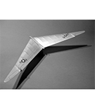 FLYING WING