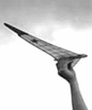 EVG FLYING WING